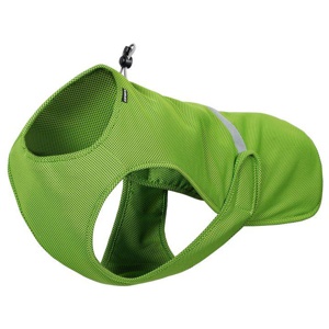 Icepeak Pet Kühlweste, grün Produktbild
