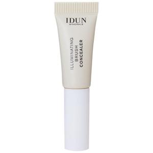 IDUN Minerals Concealer Raps produkt bild