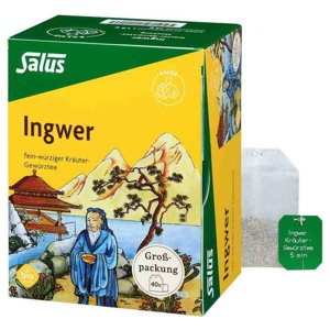 INGWER KRÄUTER-GEWÜRZTEE-Mischung Bio Salus Fbtl. Produktbild