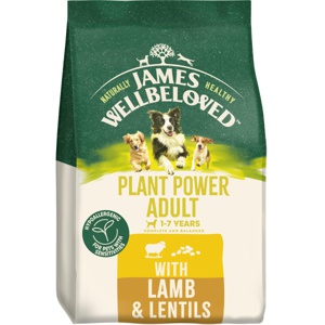 James Wellbeloved Adult Dog Hypoallergenic Plant Power Lamb & Lentils product image