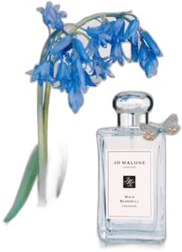 Jo Malone - Wild Bluebell Cologne 30ml Produktbild