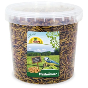 JR Farm Mehlwürmer mit Extra Viel Protein Produktbild