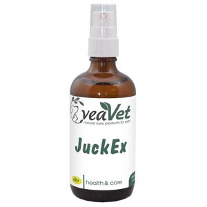 Juck ex forte vet. (für Tiere), 100 ml n.v. Produktbild
