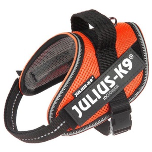 Julius-K9 IDC® POWAIR Geschirr - orange Produktbild