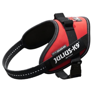 Julius-K9 IDC®-Powergeschirr - rot Produktbild