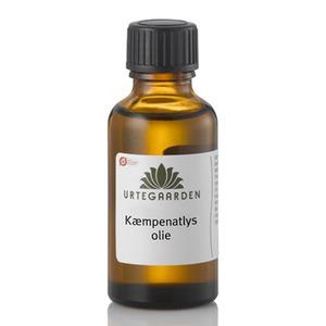 Kæmpenatlysolie Øko. - 100 ml. produktbillede