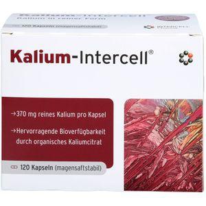 KALIUM-INTERCELL magensaftresistente Hartkapseln Produktbild