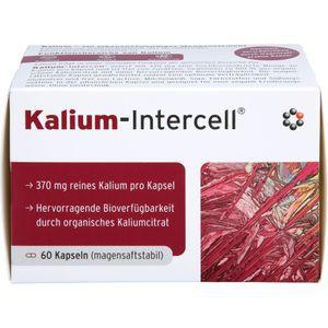 KALIUM-INTERCELL magensaftresistente Hartkapseln Produktbild