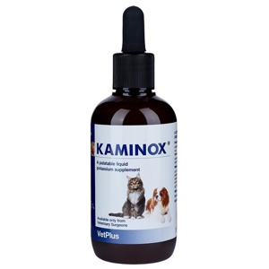 Kaminox Liquid Potassium Supplement 120ml product image