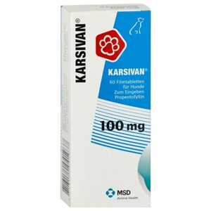 KARSIVAN 100mg 60 St Filmtabletten Produktbild