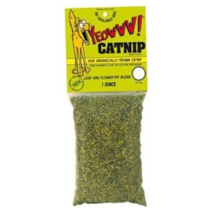 Kattmynta 28g produkt bild
