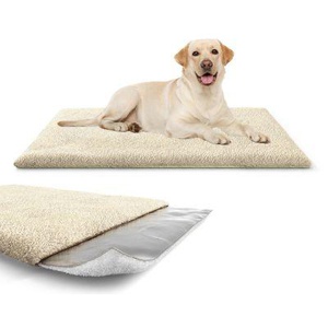 Knuffelwuff kälteabweisende und wärmeisolierende Thermodecke beige L Produktbild