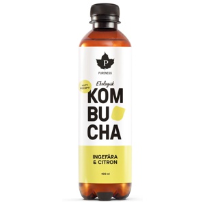 Kombucha EKO 400 ml produkt bild