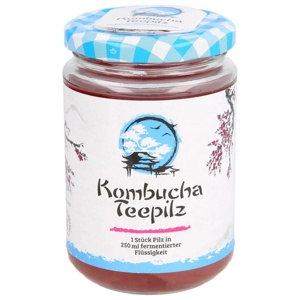 Kombucha Teepilz 1 Stück Produktbild