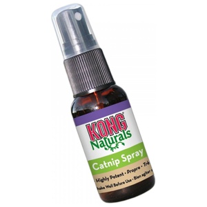 KONG Catnip Premium Spray 30ml produkt bild