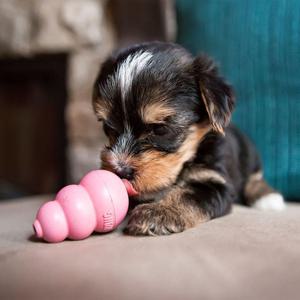 KONG Leksak Puppy Mix L 10cm produkt bild