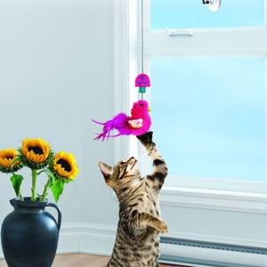 KONG Leksak Window Teaser Bird produkt bild