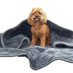 Kong Tyngdfilt till Hund Grå produkt bild