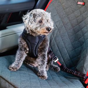 Kong Travel Deluxe roterbart bilbälte - ca L 51,5 - 65 cm produkt bild