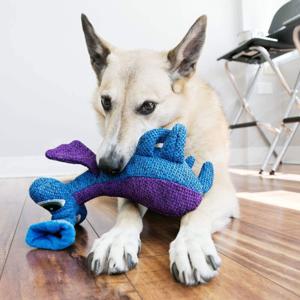 Kong Woozles Alien Lila produkt bild