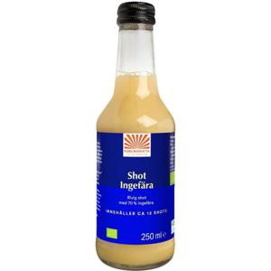 Ingefärsshot 250 ml produkt bild