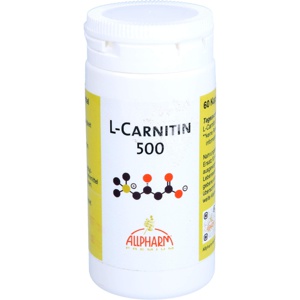 L-carnitin 500 Mg Kapseln 60 St Kapseln Produktbild