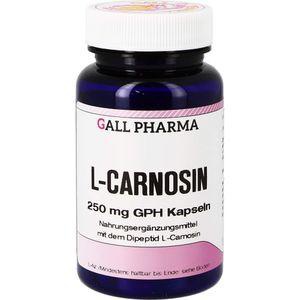 L-CARNOSIN 250 mg GPH Kapseln Produktbild