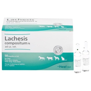 Lachesis Compositum N Ampullen vet. (für Tiere), 50 St Ampullen Produktbild