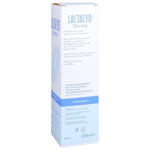 LACTACYD Derma Waschsyndet 250 ml Körperpflege Produktbild