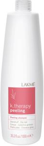 Lakme Dandruff Shampoo for Oily Hair produkt bild