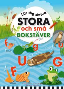 Lär Dig Skriva Stora och Små Bokstäver produkt bild