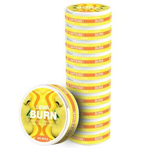 LEWA Burn Citrus & Mint Nikotinfritt snus 1 dosa produkt bild