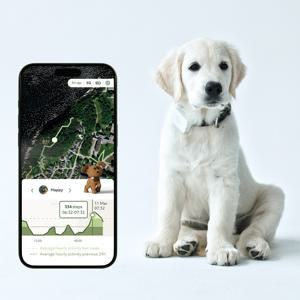 LilDog 2 GPS-Tracker till Hund - GPS-Tracker produkt bild