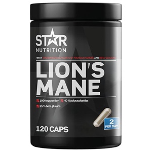 Lion's Mane 120 kapslar produkt bild