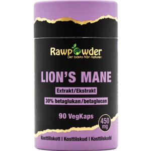 Lion's Mane Extrakt 450 mg 90 kapslar produkt bild