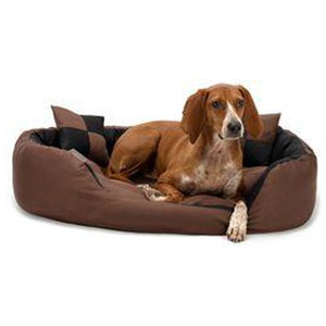 Lionto 4-in-1 Hundebett S Produktbild