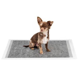 Lionto Hygieneunterlage mit Kohlefaser für Hunde 6-lagig 50 S Produktbild