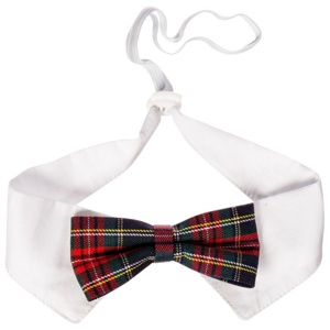 Little&Bigger Festive Fluga till Hund & Katt (s/m) produkt bild