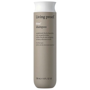 No Frizz Shampoo 236 ml produkt bild