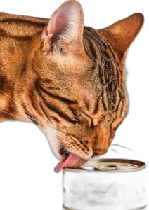 Lucky-Kitty Maus Pur (100% Maus) 4x100 g Produktbild