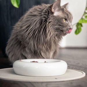 LucyBalu CIRCLE Katzen Napfunterlage taupe Produktbild