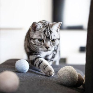 LucyBalu Filzbälle mit Glocke SOUND BALLS Produktbild