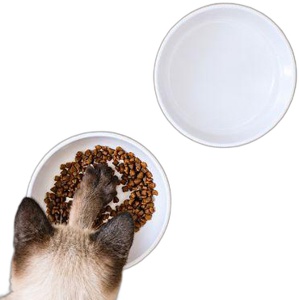 LucyBalu Katzennapf BOWL MELAMIN Produktbild