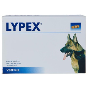 Lypex Pancreatic Enzyme Capsules for Dogs and Cats Pack of 60 product image