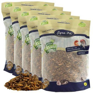 Lyra Pet Protein Boost Insekten Mix - mit Mehlwürmern, Shrimps & Grashüpfern 1 kg Produktbild