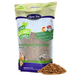 Lyra Pet Soldatenfliegenlarven Produktbild