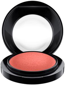 Mineralize Blush Flirting With Danger produkt bild