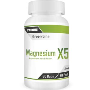 Magnesium 100 kaps produkt bild