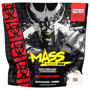 Mass Extreme 2500 Gainer 272 kg produkt bild
