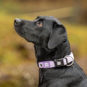 Max & Molly Smart ID Hundhalsband Matrix 2.0 Lila (2,0x28-45cm) produkt bild